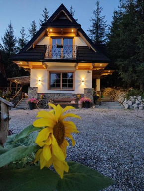 Domek u Gochy Koscielisko